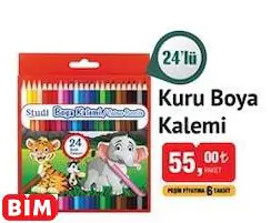 STUDİ KURU BOYA KALEMİ